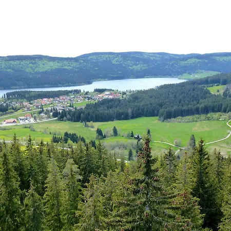 Ferienwohnung Schluchsee Schluchsee
