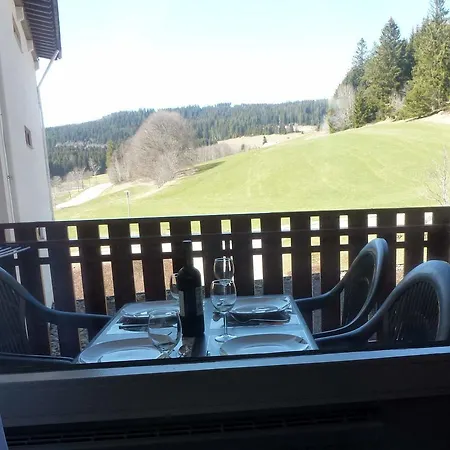 Ferienwohnung Schluchsee Lejlighed *