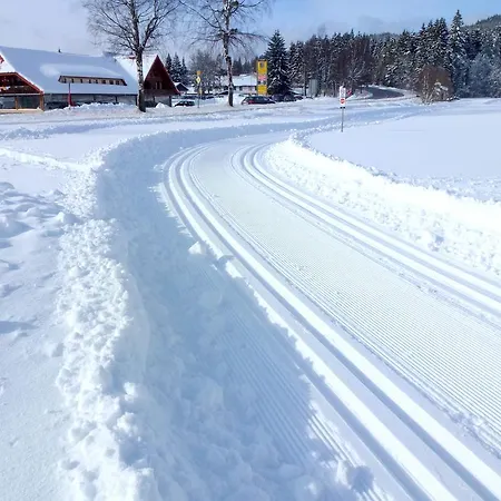 Διαμέρισμα Ferienwohnung Schluchsee *