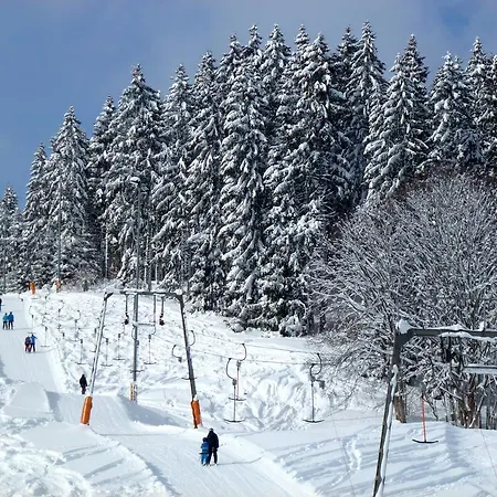 Ferienwohnung Schluchsee