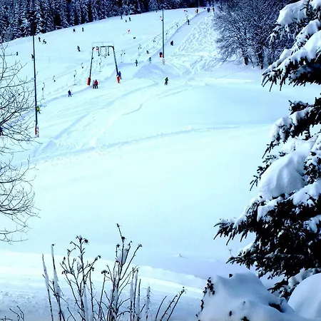 Ferienwohnung Schluchsee Apartamento Schluchsee