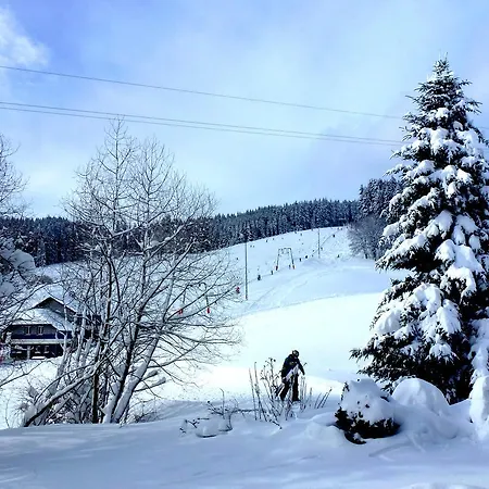 Ferienwohnung Schluchsee Schluchsee