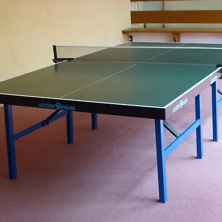 Ferienwohnung Schluchsee 아파트