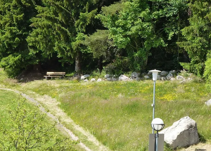 Ferienwohnung Schluchsee Schluchsee