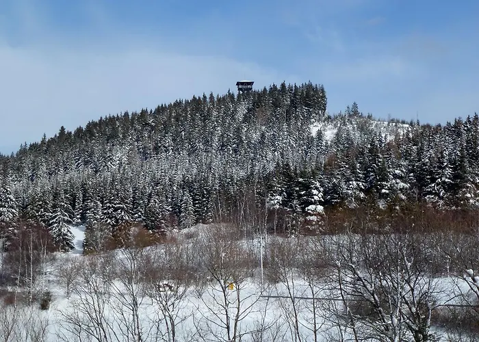 Ferienwohnung Schluchsee Appartement Schluchsee