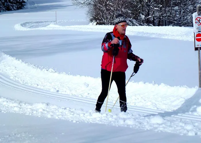 Ferienwohnung Schluchsee Διαμέρισμα Schluchsee