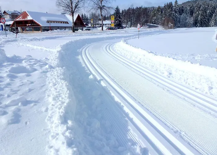 Appartement Ferienwohnung Schluchsee *