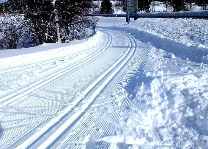 Appartement Ferienwohnung Schluchsee Schluchsee