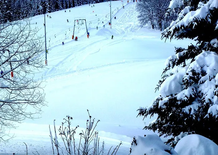 Ferienwohnung Schluchsee Διαμέρισμα Schluchsee