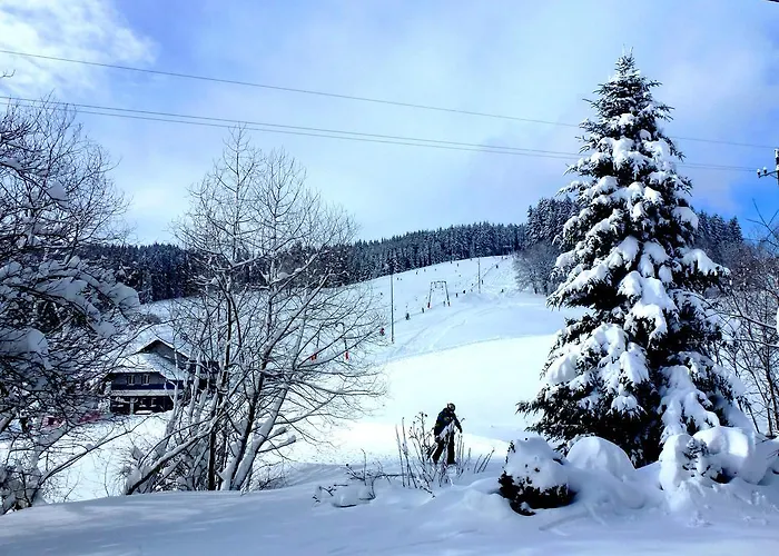 Ferienwohnung Schluchsee Schluchsee