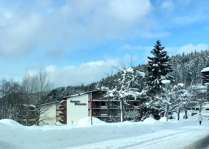 Ferienwohnung Schluchsee