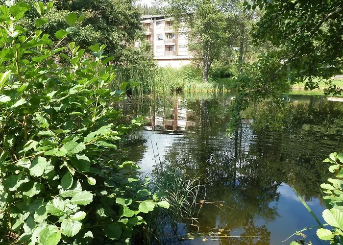 Ferienwohnung Schluchsee Schluchsee